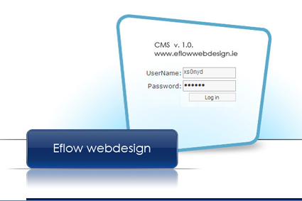 IDR Global Super Web Design, website, CMS, content management system, development, website development, web designer, online webstore, online catalogue